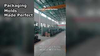 ডিজাইন থেকে বাস্তবে: প্রসাধনী এবং দৈনিক রাসায়নিক প্যাকেজিংয়ের জন্য নির্ভুল ছাঁচ উত্পাদন